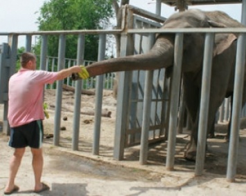 В Харькове закрыли зоопарк