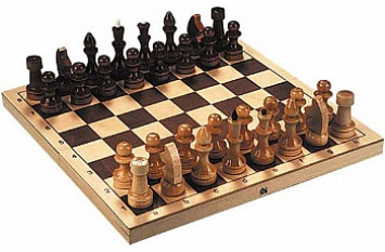 В Запорожской области проходит шахматный турнир