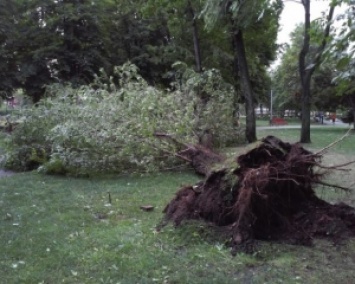 Ураган в Харькове: деревья вырвало с корнями, сломаны бетонные столбы (ФОТО)