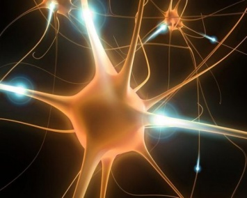 Ученые доказали пользу нагрузок на мозг с помощью умственных тренировок