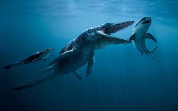 Палеонтологи определили причину вымирания морских животных 252 млн лет назад