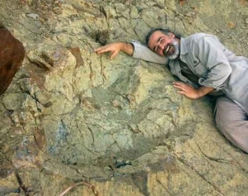 В Боливии нашли рекордный по величине след динозавра