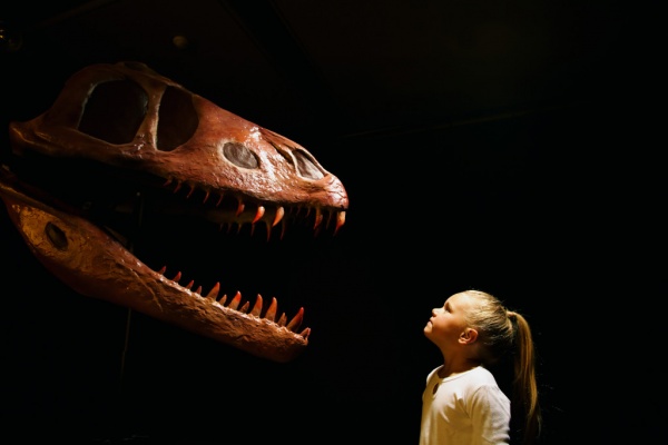 Вы когда-нибудь задумывались о динозаврах всерьез?