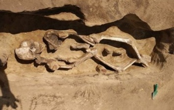 В Усть-Ивановке археологи нашли связанный скелет со стрелами в плечах