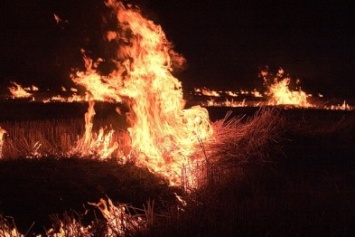 Ночной пожар в Макеевке: горело поле