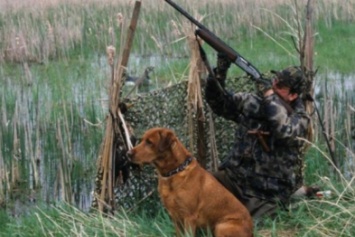 Сегодня на Полтавщине откроется сезон охоты: что необходимо знать и не забыть охотникам