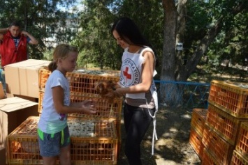 Международный Комитет Красного Креста жителям прифронтовых сел доставил цыплят, комбикорм, поилки и кормушки для кур