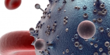Ученые нашли эффективный способ уничтожения ВИЧ