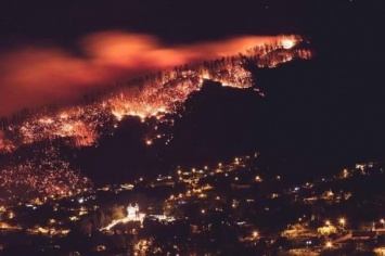 Россия окажет помощь Португалии в тушении лесных пожаров