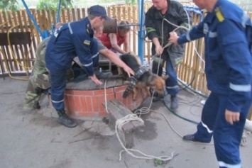 В Киевской области из колодца спасли собаку (ФОТО)