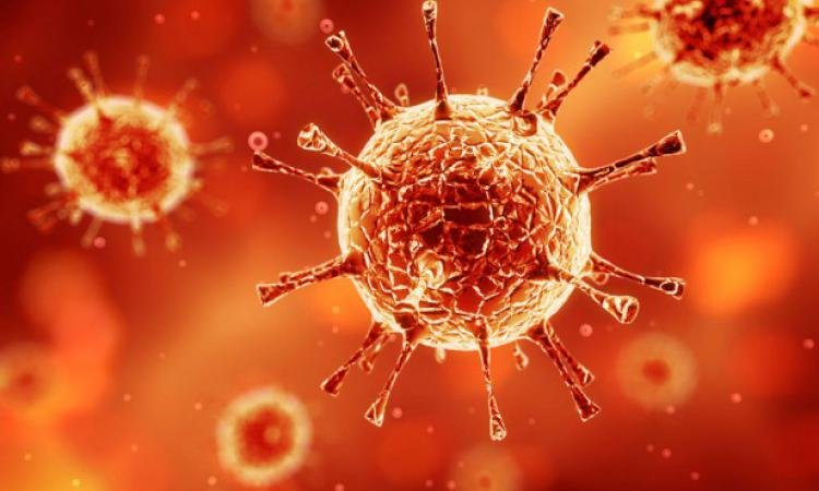 Китайские ученые создали 15-минутный тест на вирус MERS