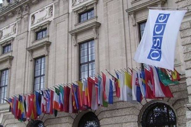 По Украине новым спецпредставителем ОБСЕ стал австриец