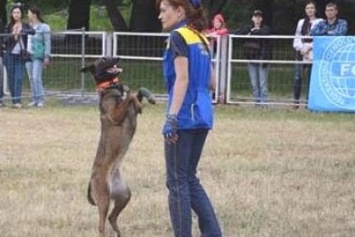 Собака-спасатель из Павлограда едет в Италию