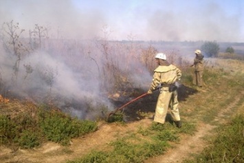 В Нижних Серогозах горела сухая трава (фото)