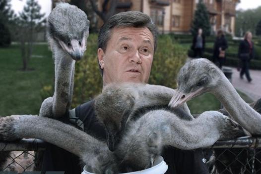 В сети продают чехлы со "страусами" Януковича