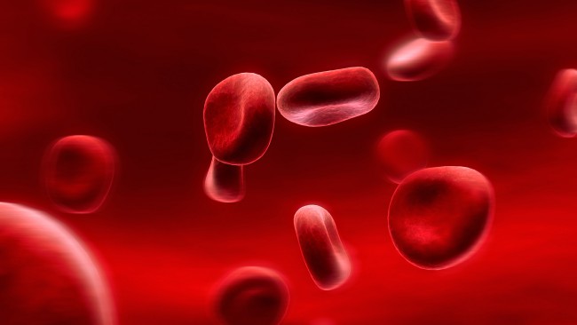 Великобритания начнет клинические испытания искусственной крови уже в 2017 году