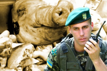 Мелитополец не довез в Крым 9 тонн мяса