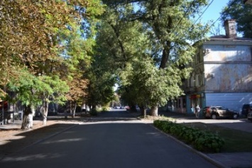 В Каменском опасаются падения дерева на дом по улице Галины Романовой