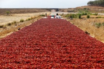 Как сушат красный перец в Турции? Да на дороге!