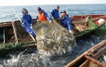 Украина по-прежнему чаще всего покупает рыбу у Норвегии, но все больше селедки, и все меньше форели