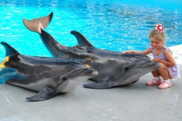 Дети-инвалиды Бердянска побывали на представлении в дельфинарии