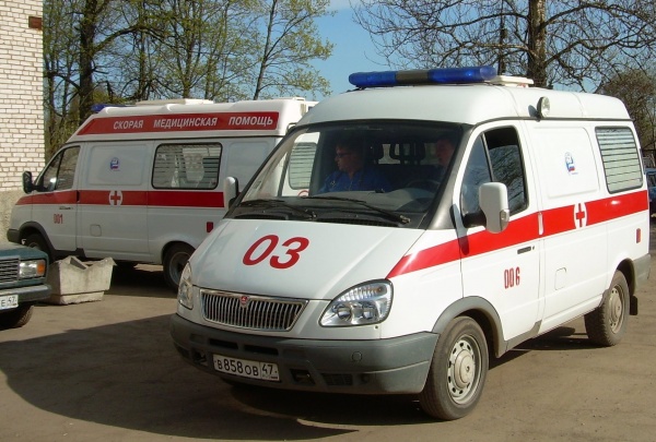 В Солнечногорском районе трое парней изнасиловали и забили до смерти девушку
