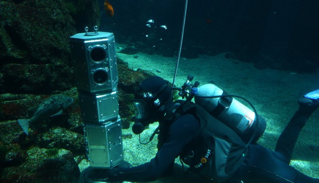 Подводный аппарат NASA фотографирует рыбок из южных морей