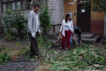 В Мариуполе дерево рухнуло на провода и оставило жильцов пяти домов на сутки без света( ФОТО)