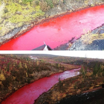 Река в России стала кроваво-красного цвета, и это похоже на библейский кошмар!