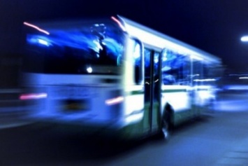 В День города из Херсона в Олешки можно будет добраться на бесплатном ночном автобусе
