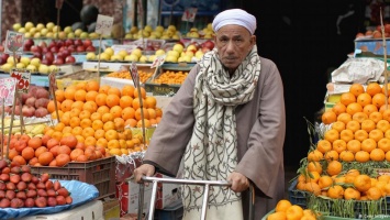 Россия запретила ввоз овощей и фруктов из Египта