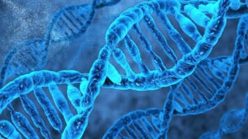 Ученые: Враждебные элементы ДНК существенно вредят здоровью