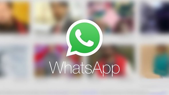 Полезные советы для каждого пользователя WhatsApp