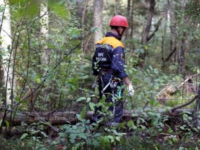 В Карелии заблудившийся московский школьник найден спасателями