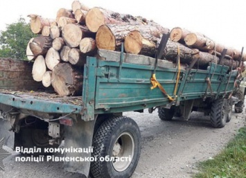 Полицейские изъяли 25 кубометров незаконной древесины в Ровенской области