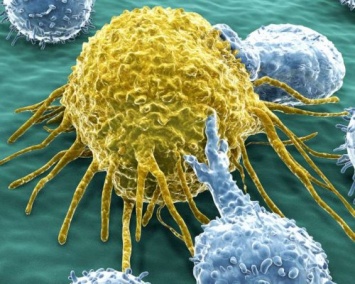 Ученые нашли «плащ-невидимку» раковых клеток