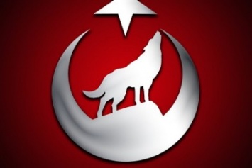 Среди боевиков «ЛНР» ширятся слухи, что на фронт прибыли «серые волки из Турции»