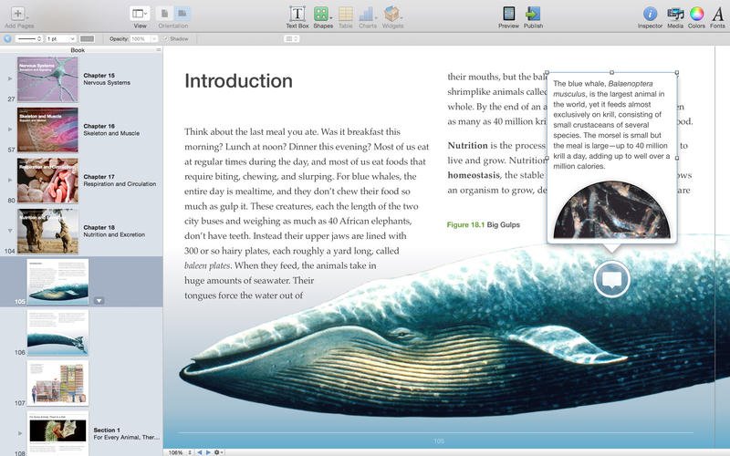 iBooks для iPhone теперь поддерживает книги, созданные в iBooks Author