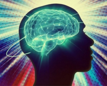 Ученые разработали новый механизм нейропротекции при травмах мозга