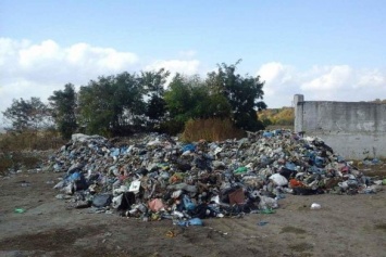 Львовский мусор вновь едет в Киев