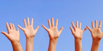 Ученые поняли, почему у человека пять пальцев на руках