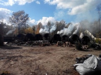 В Житомирской области нашли две подпольные фабрики древесного угля