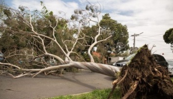 Над Австралией пронеслась мощная буря, есть жертвы