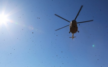 Порыв ветра опрокинул вертолет Ми-8 при взлете в Амурской области