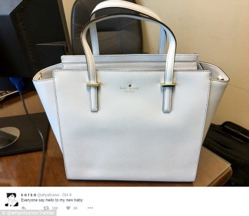 В Интернете развилась новая дискуссия по поводу цвета сумки, и это просто феерично!