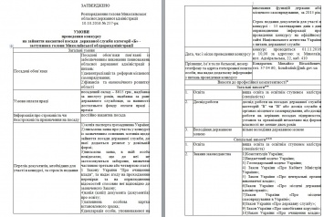 Савченко объявил конкурс на должность своего заместителя по децентрализации