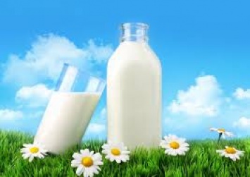 Цены на молоко в Украине выросли на 45%