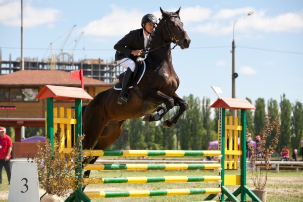 В Киеве проведут лошадиные скачки и забеги борзых