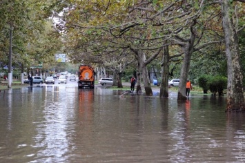 Постапокалипсис на Черемушках: улицы затоплены, а люди не могут выйти из домов из-за рухнувших деревьев