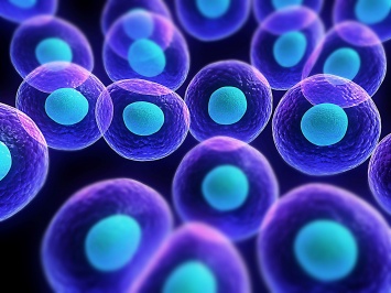 Ученые: Витамины А и С помогут в лечении стволовыми клетками